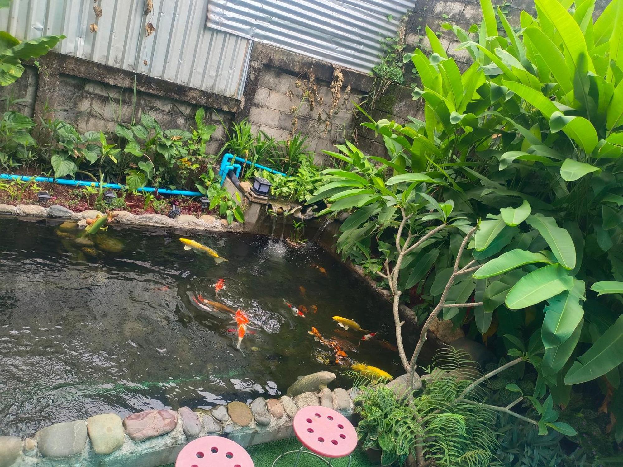 Vang Vieng Champa Hotel Eksteriør bilde